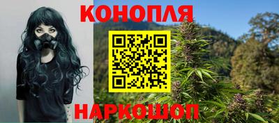 прущие грибы Кандалакша