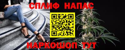 прущие грибы Кандалакша