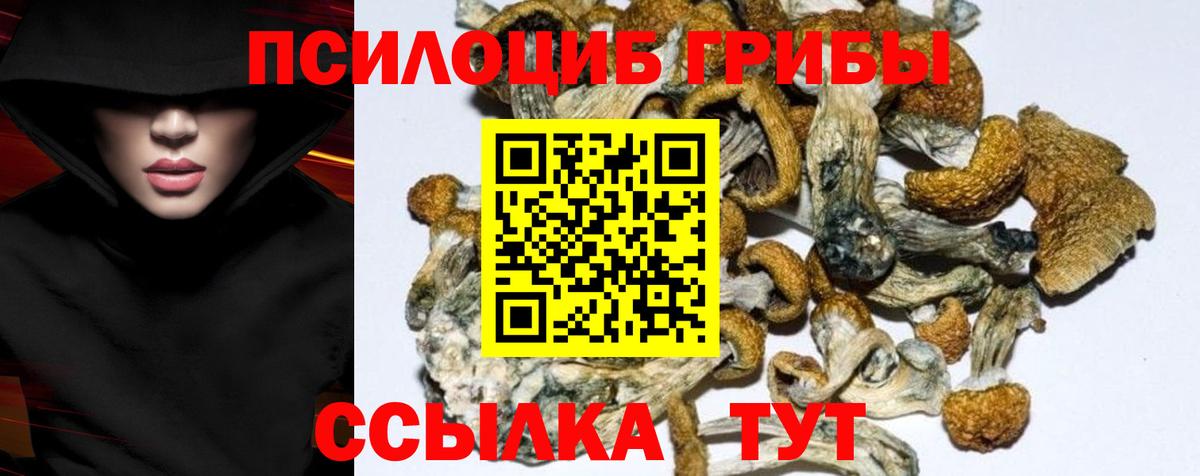 Псилоцибиновые грибы GOLDEN TEACHER Уссурийск