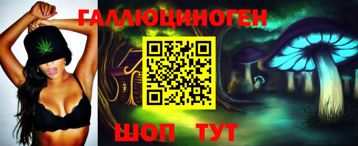 Псилоцибиновые грибы MAGIC MUSHROOMS  Псилоцибиновые грибы прущие грибы  Уссурийск  Вход с VPN 